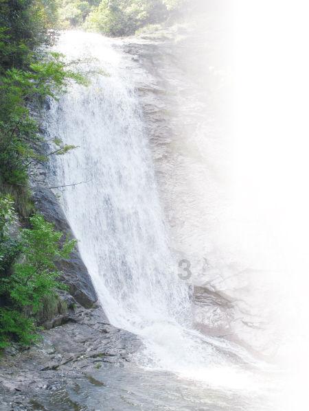 海螺村5500余名“村民股东”喜提“年终奖”